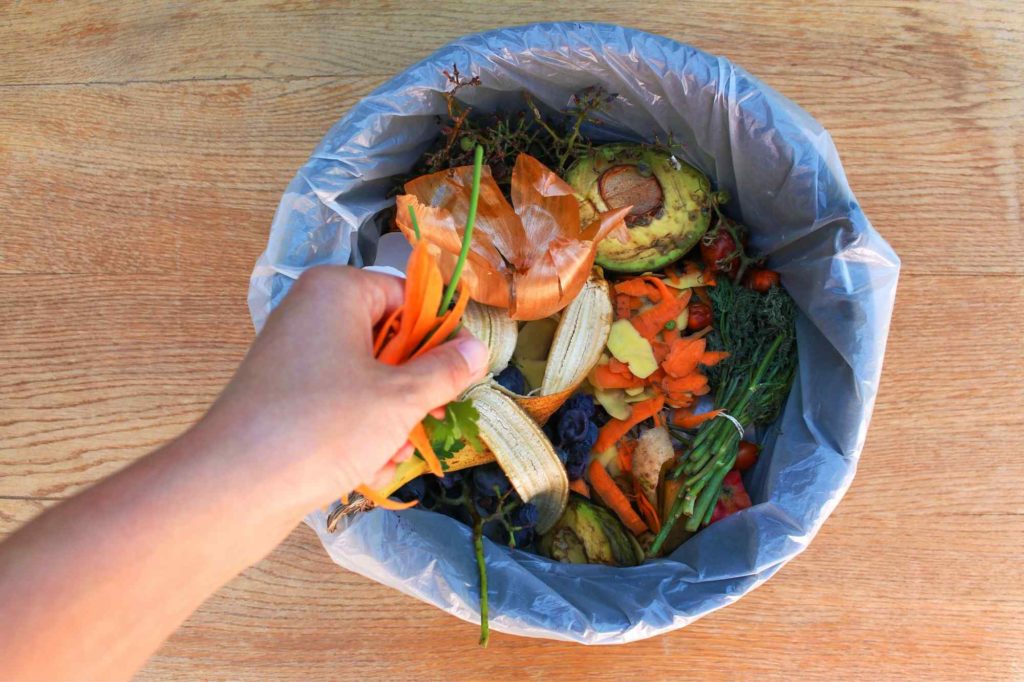 compost bin